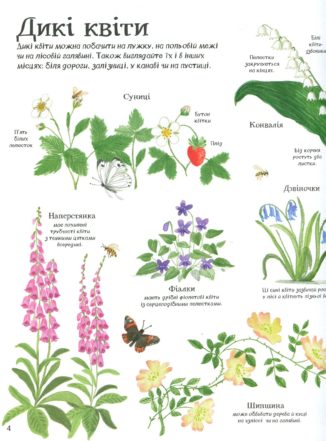 Велика ілюстрована книга ПРО ПРИРОДУ