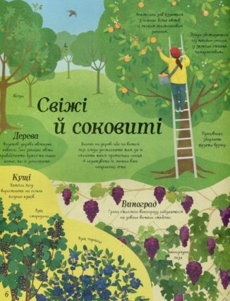 Усе починається з насіння…як росте їжа