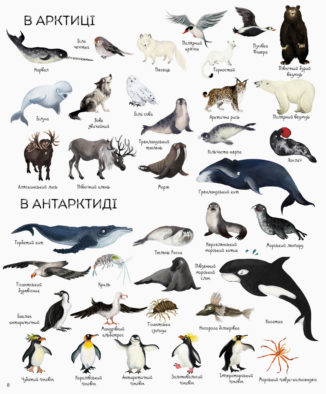 1000 назв тварин