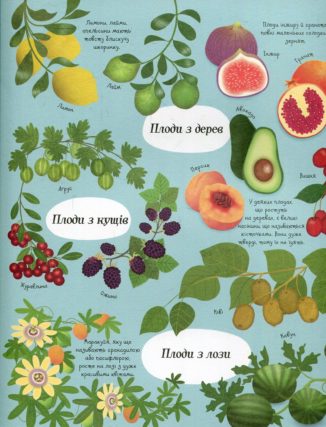 Усе починається з насіння…як росте їжа
